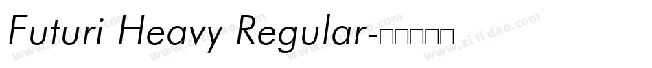 Futuri Heavy Regular字体转换